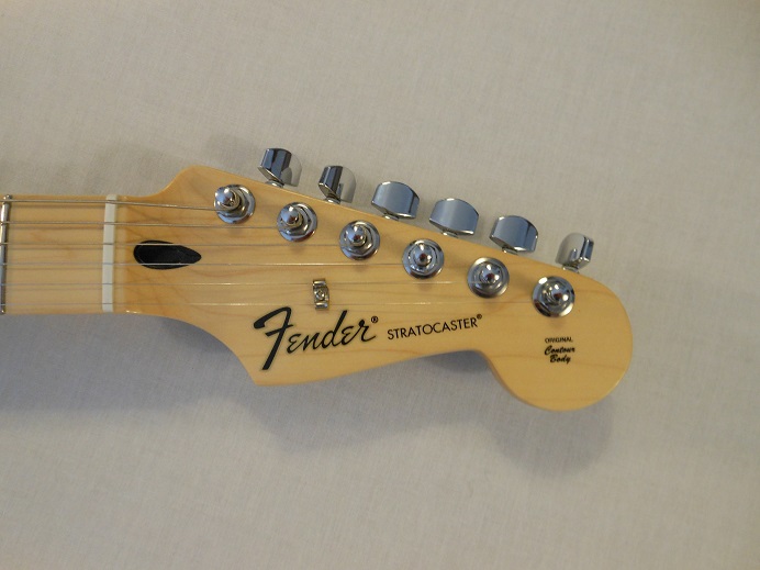 Standard Stratocaster HSS Picture 3